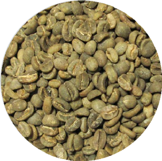 luwak coffee
