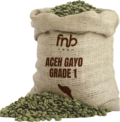 Aceh Gayo Grade 1