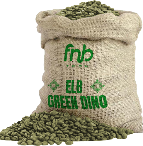 Jutebage ELB Green Dino