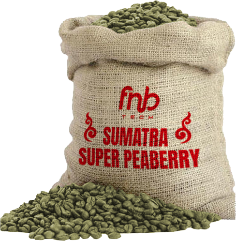 Jutebage Sumatra Super Peaberry
