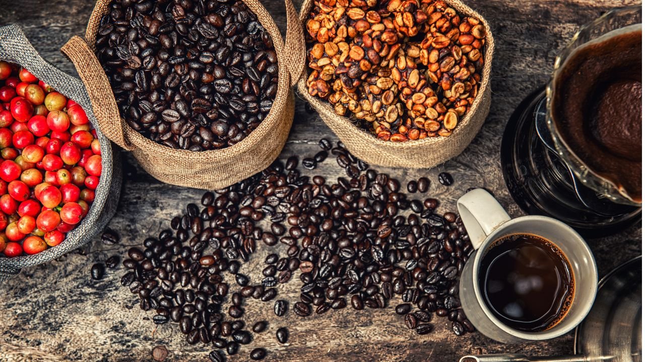 java arabica coffee beans
