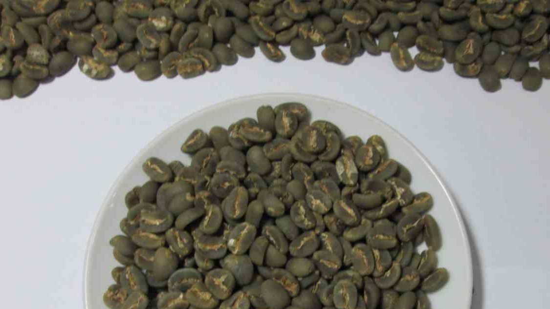 ELB Green Dino Coffee