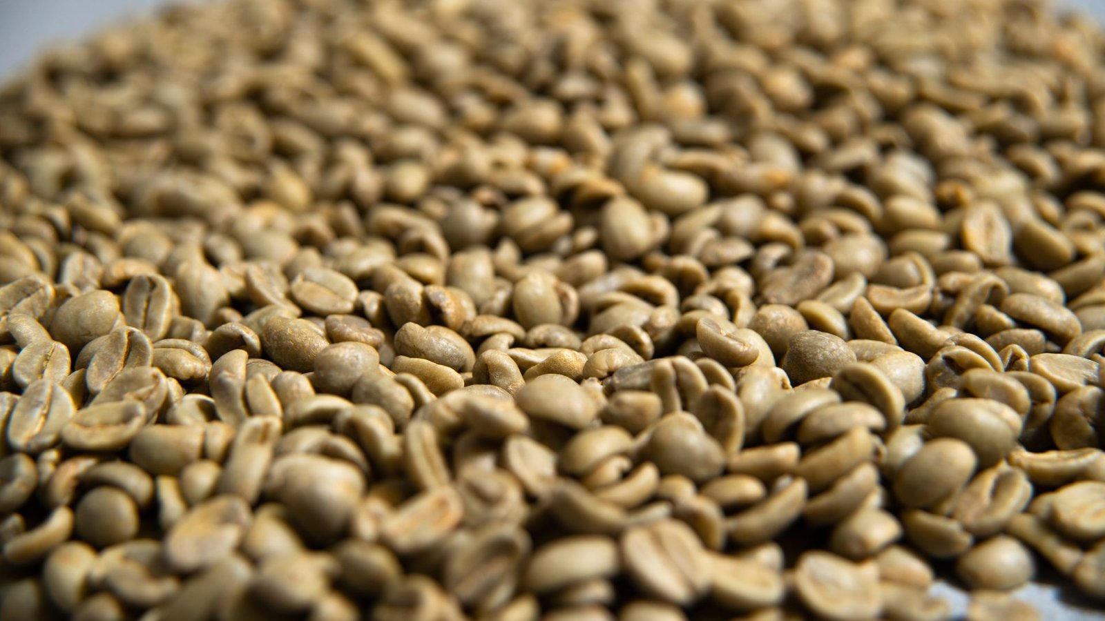 Unroasted Green Coffee Beans Better Tasting Espresso