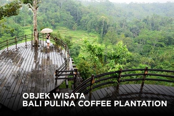 Bali Pulina Plantation