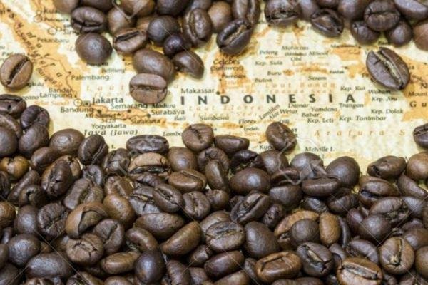 Coffee Beans From Province Indonesia