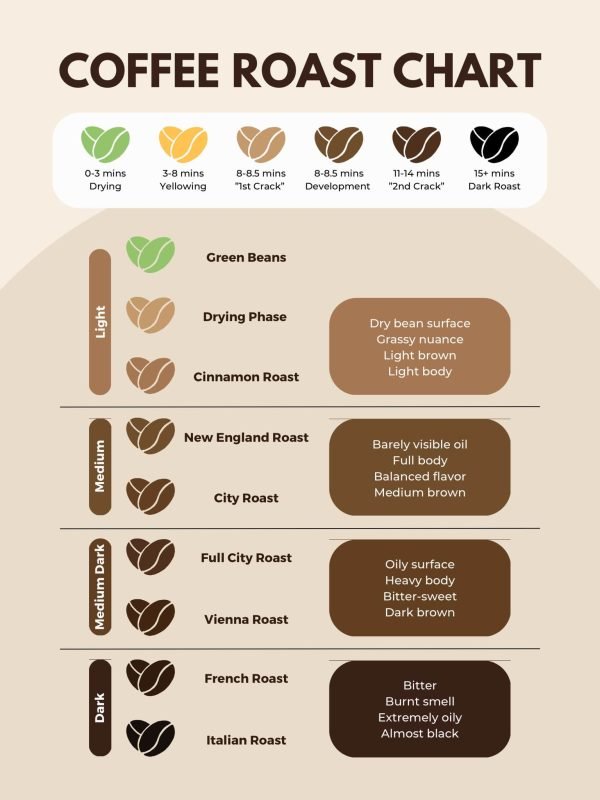 Be The Master! 4 Coffee Roasting Levels Chart: W/ Image & Guide - FnB ...