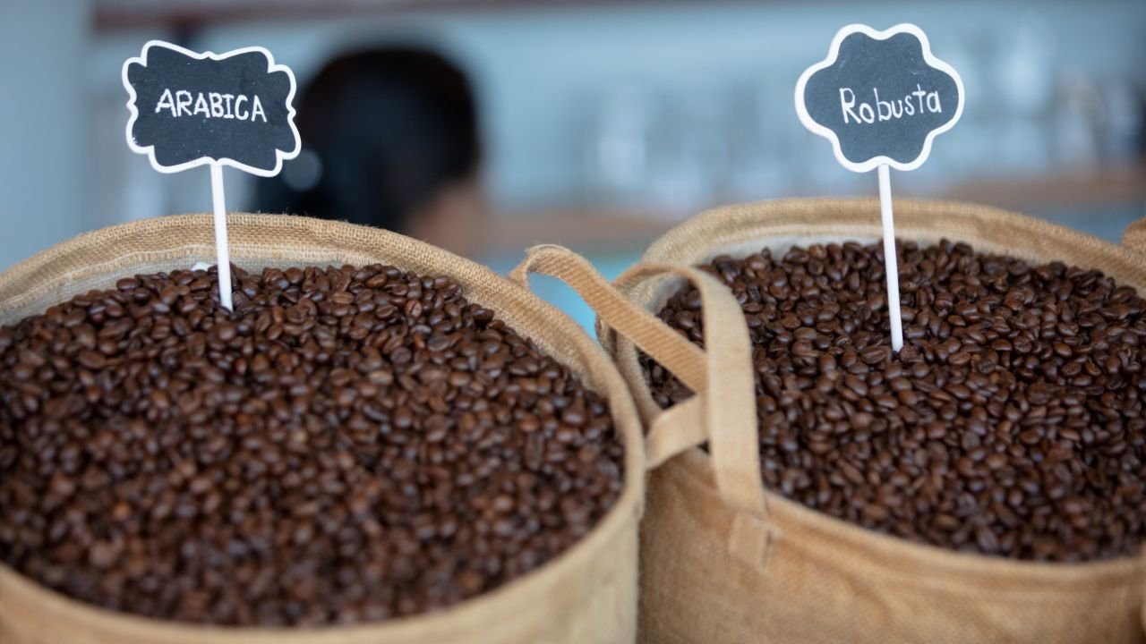 difference between robusta and arabica coffee beans