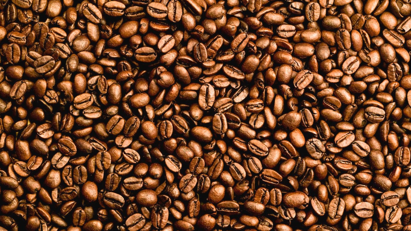 Full Medium Roast Coffee Beans