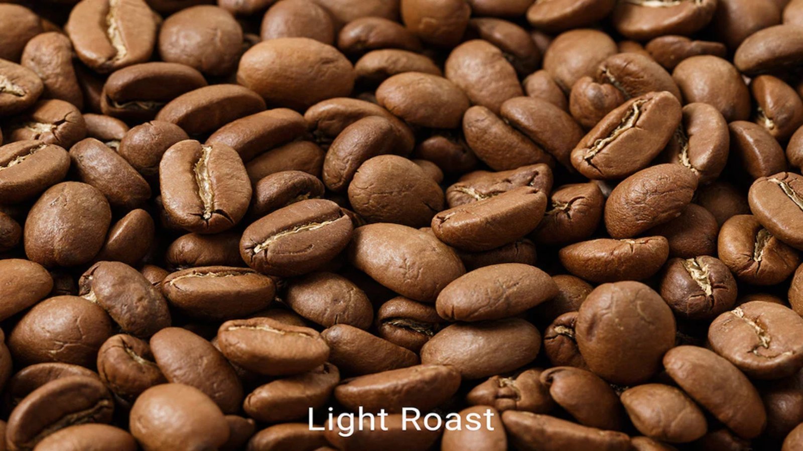 Light Roast Coffee Beans