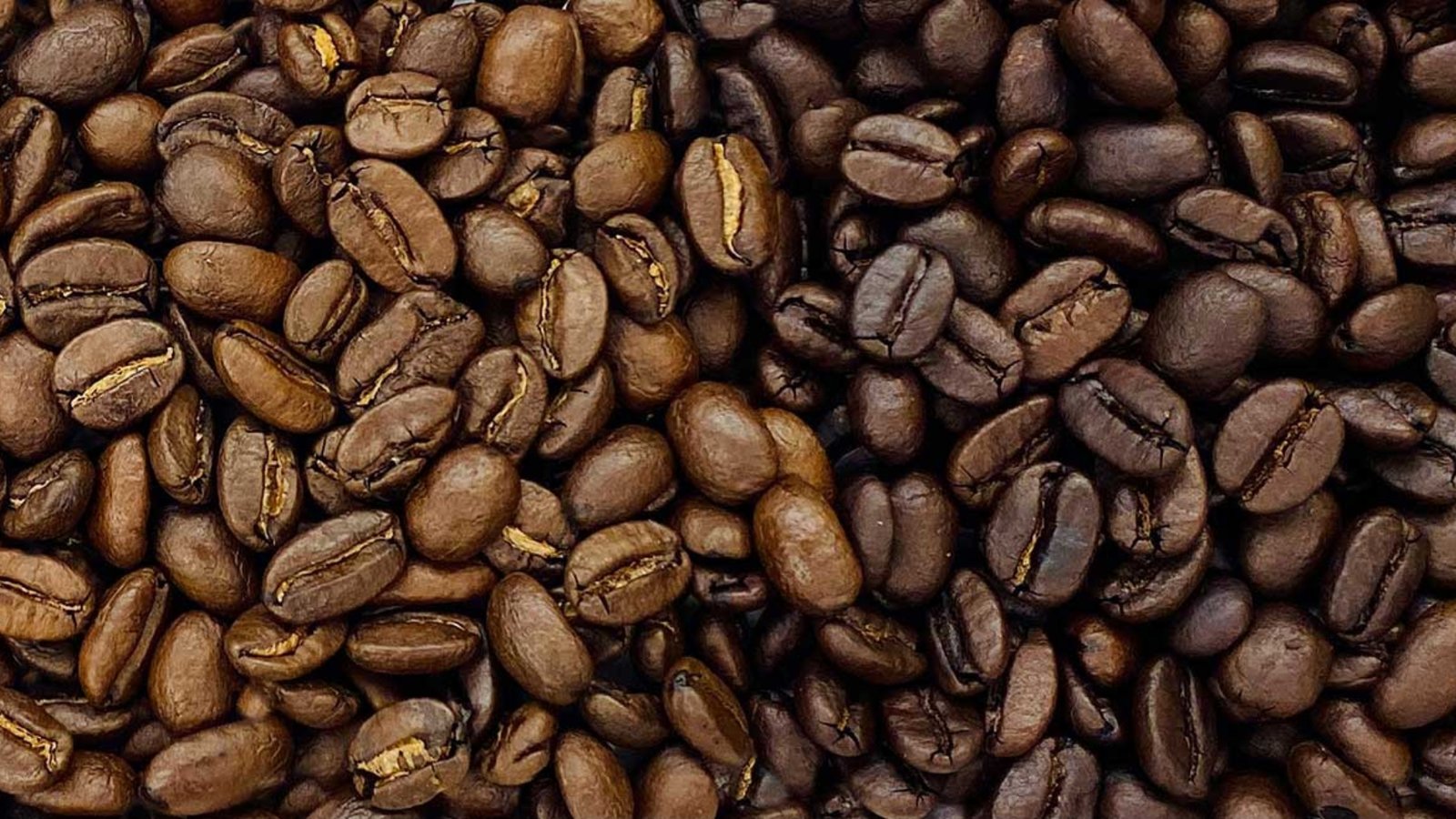 Light to Medium Roast Coffee Beans