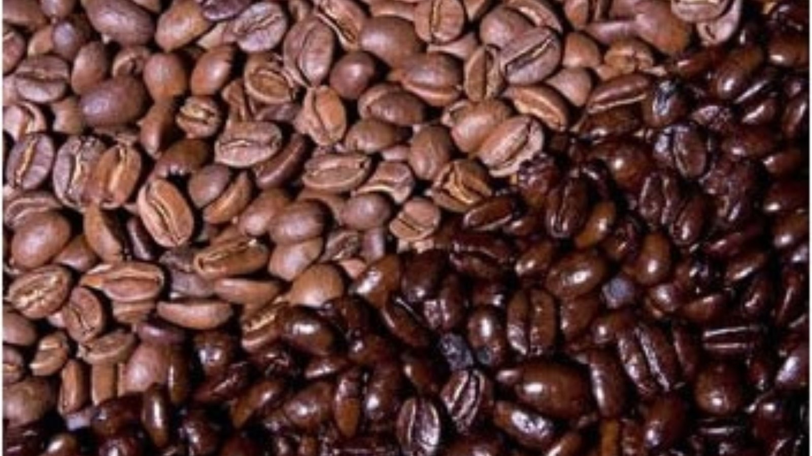 Medium-Dark Roast Coffee Beans