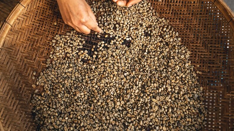 Sumatra Lintong Coffee