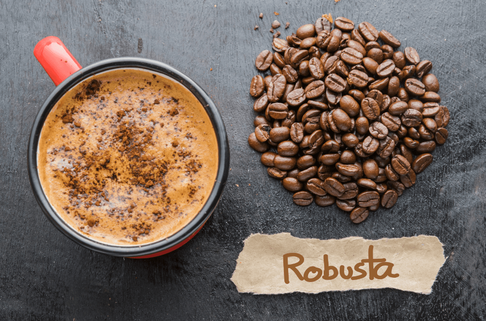 10 facts you didn't know about Robusta Coffee Beans Indonesia - FnB ...