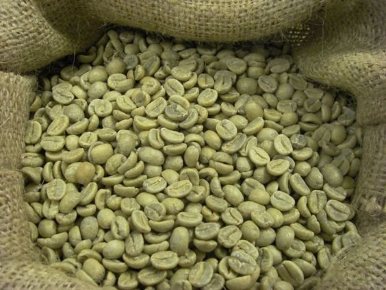 Potential of Green Coffee Beans